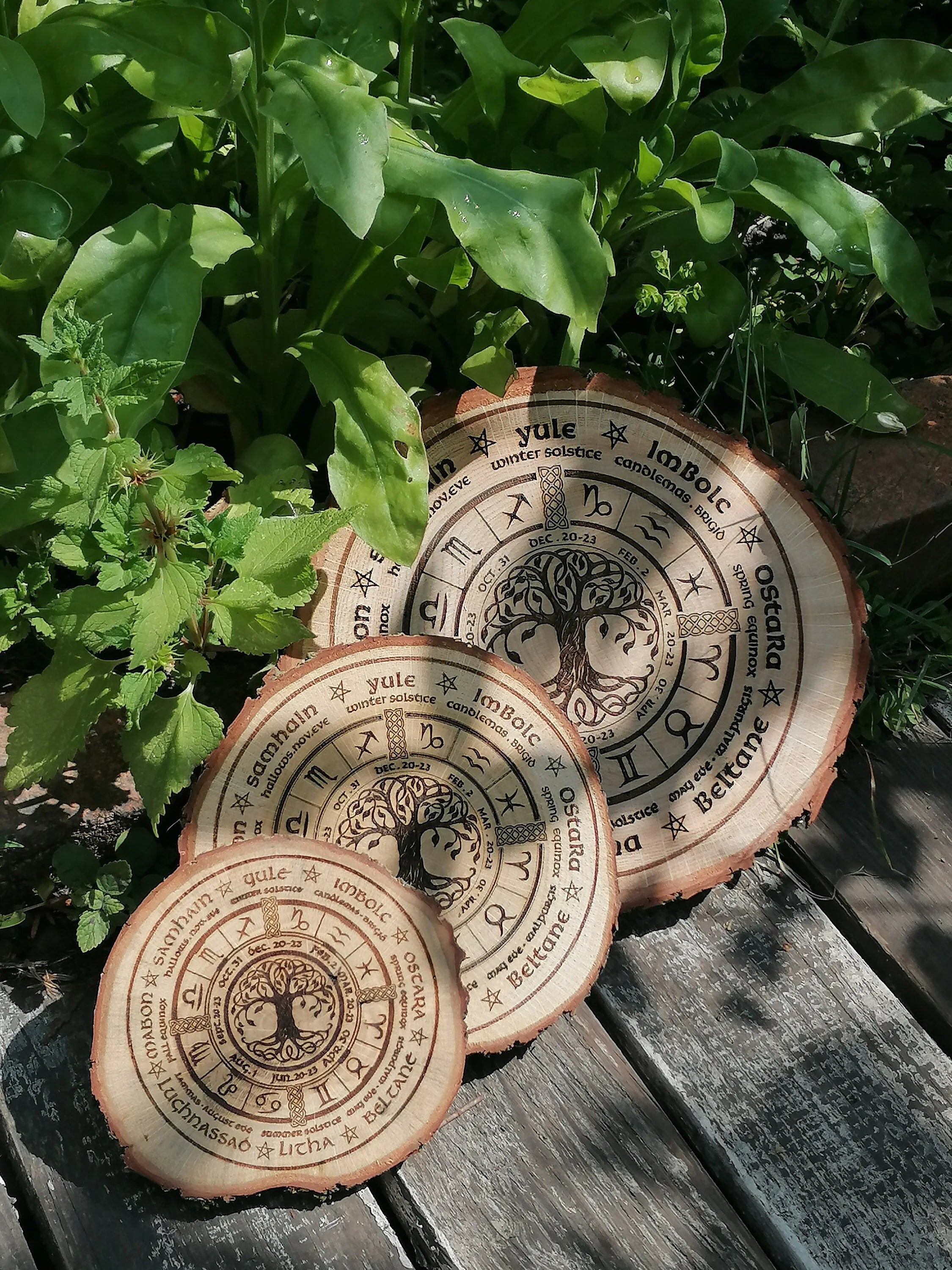 Könnte beinhalten: Drei runde Wandbehänge aus Holz mit einem Lebensbaum-Motiv und den Namen der acht Sabbate des Jahreskreises. Die Sabbate sind: Yule, Imbolc, Ostara, Beltane, Litha, Lughnasadh, Mabon und Samhain.